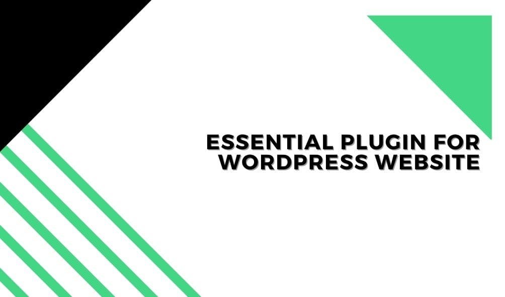 5 Essential Plugins for website